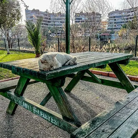 Spacious Flat At The Pool, Huge Balcony, 2 Bedroom *
